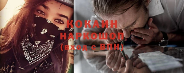 дмт Бородино