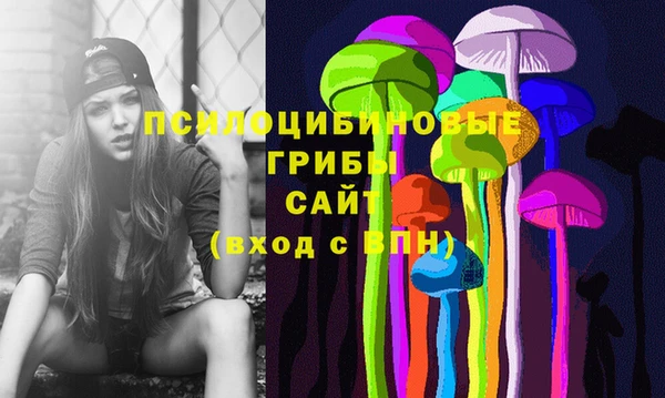 дмт Бородино
