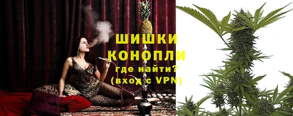первитин Богданович