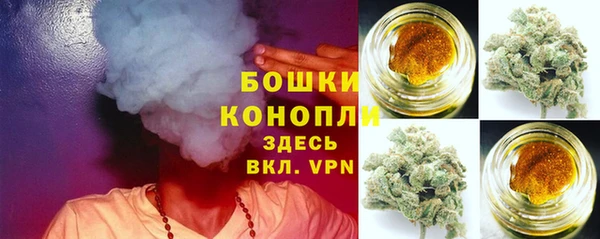 мдпв Белая Холуница