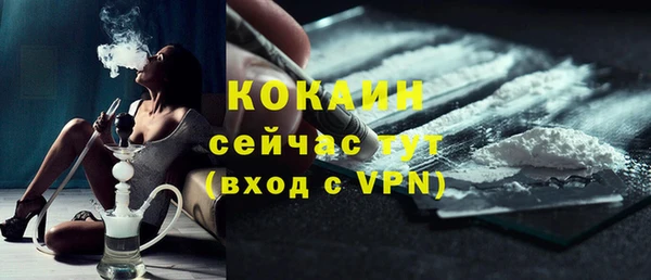 первитин Богданович