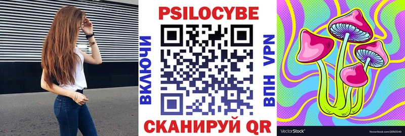 Псилоцибиновые грибы Psilocybe  Вельск 